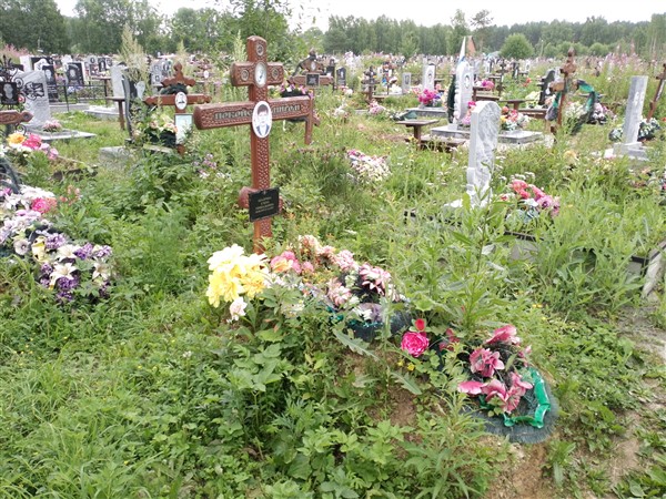 Шадрина Елена Геннадьевна