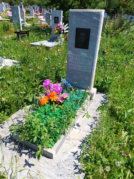 Ботанин Дмитрий Алексеевич