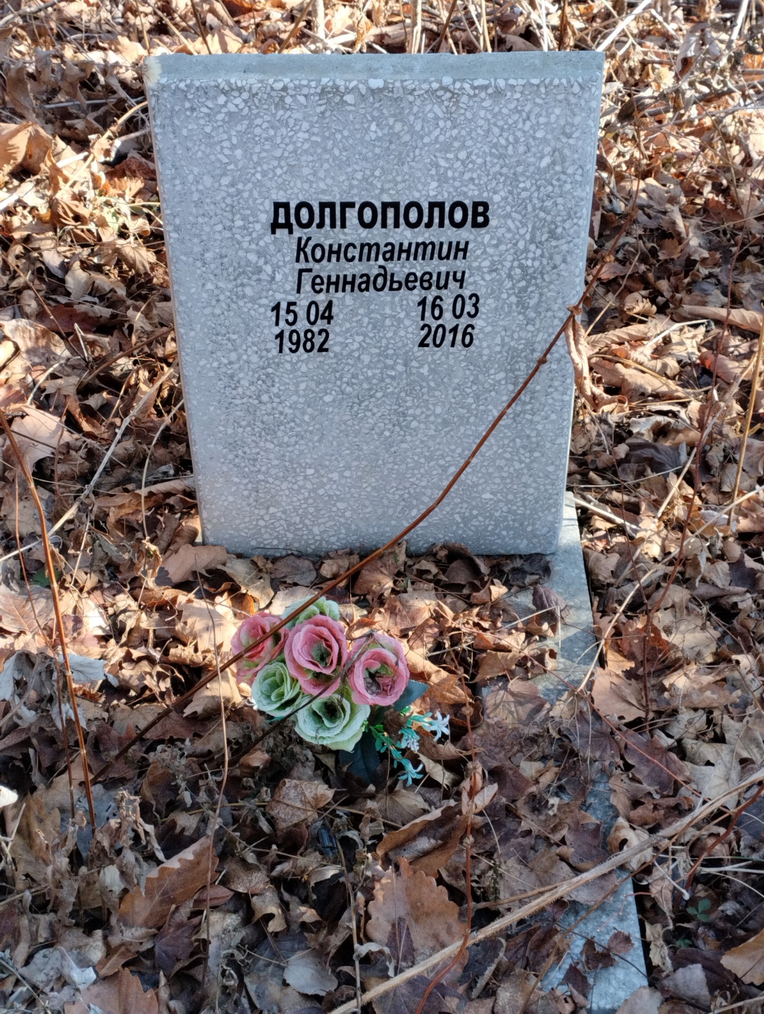 Долгополов Константин Геннадьевич