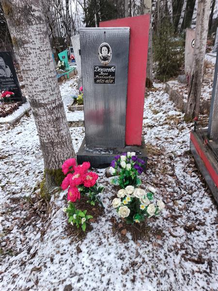 Денисова Вера Николаевна