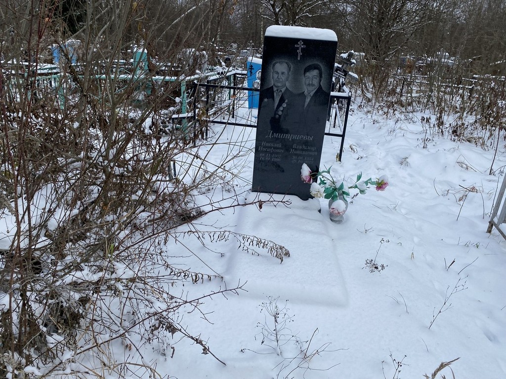 Дмитриев Владимир Николаевич