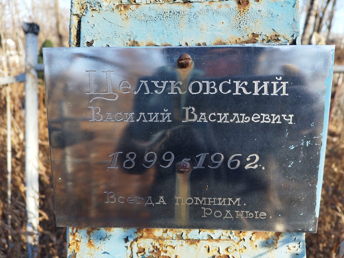 Целуковский Василий Васильевич