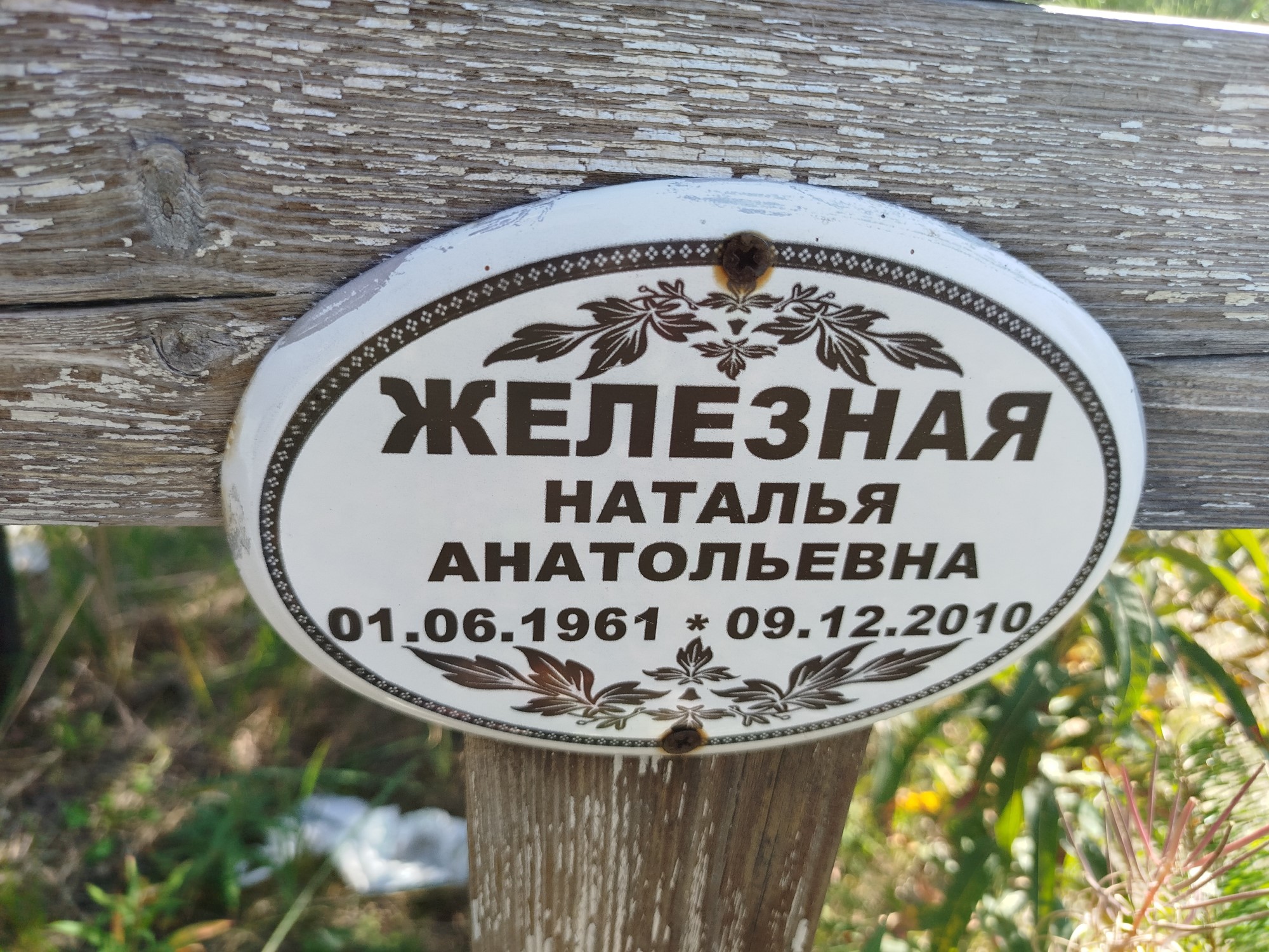 Железная Наталья Анатольевна