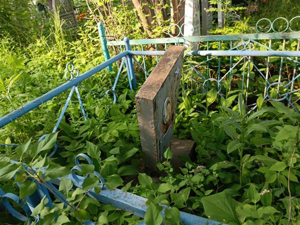 Гривицкая Елизавета Николаевна