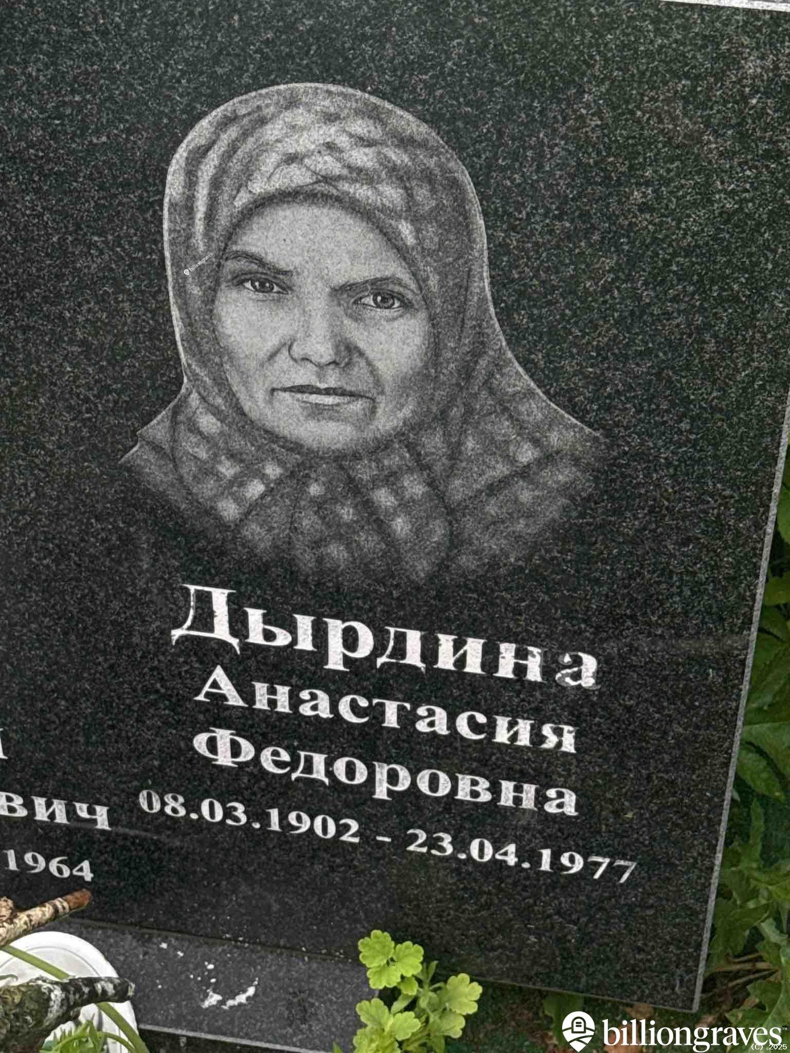 Дырдина Анастасия Федоровна