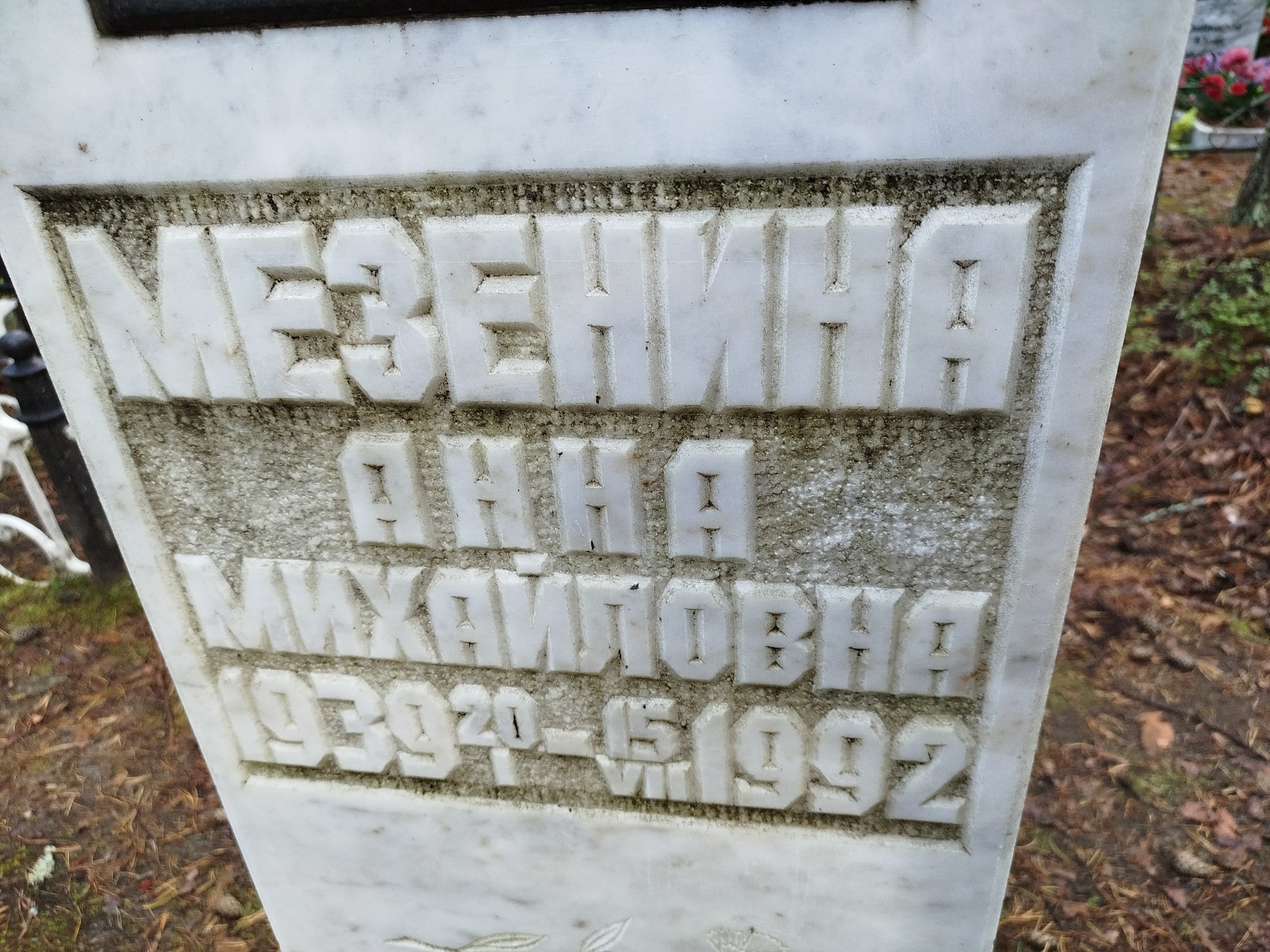 Мезенина Анна Михайловна