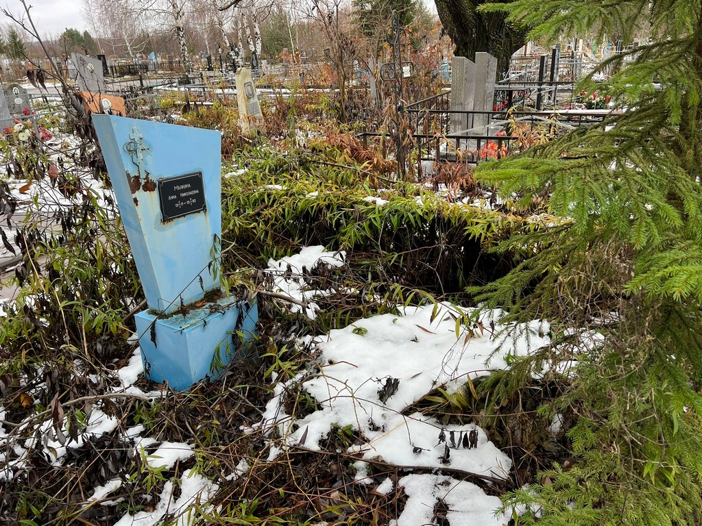 Маякина Анна Николаевна