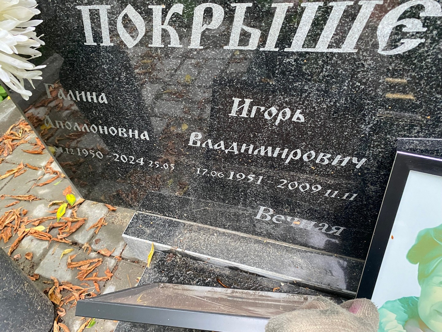 Покрышечников