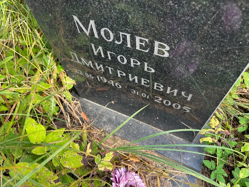 Молев