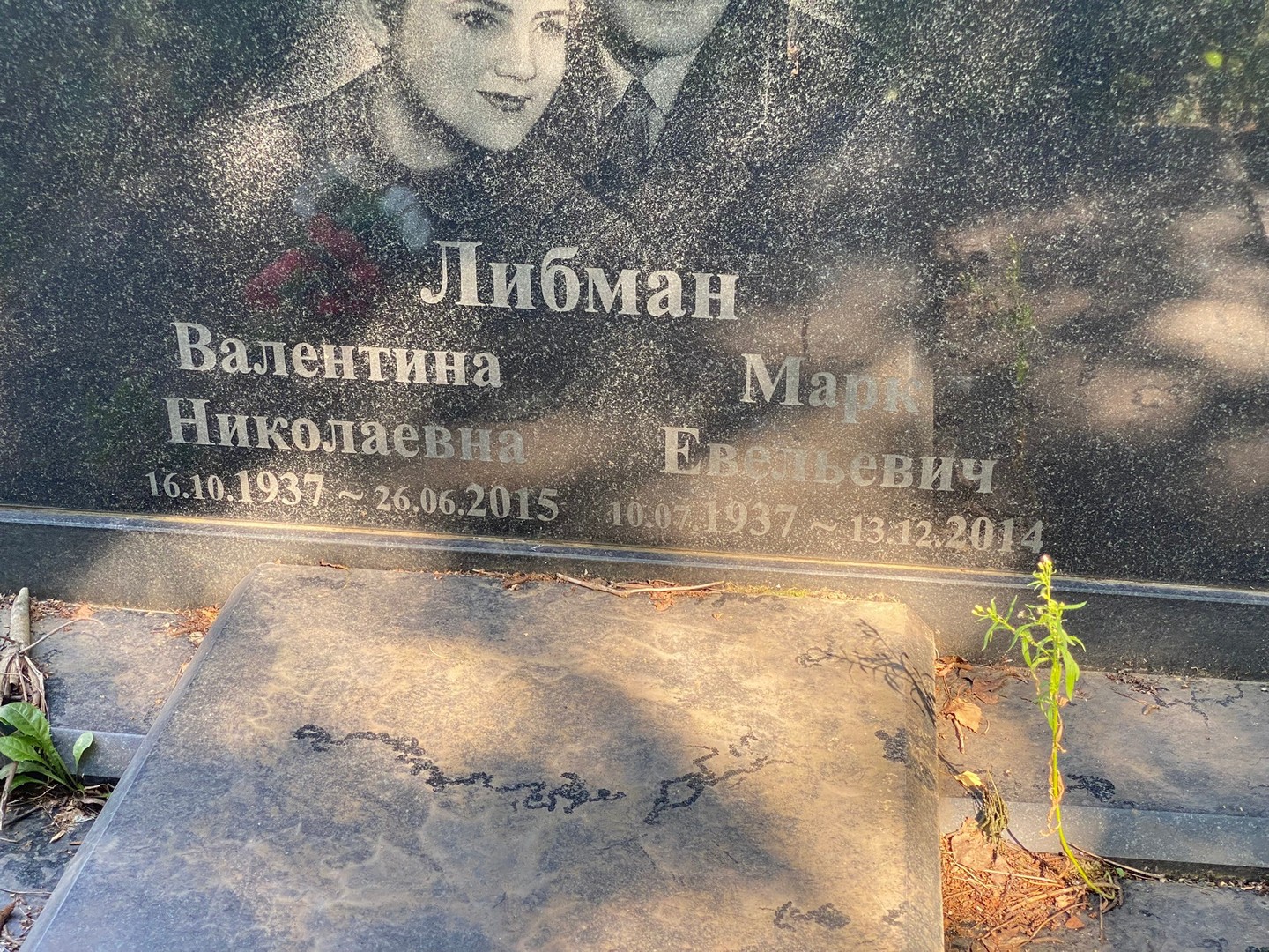 Марк Либман Евельевич