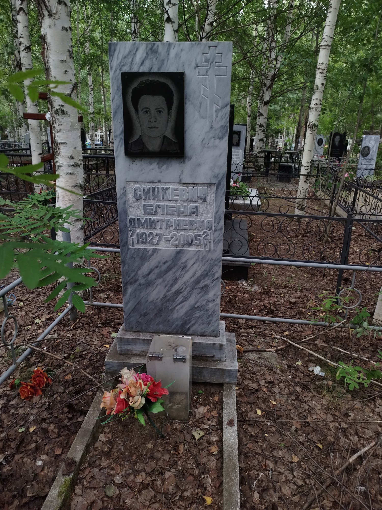 Синкевич Елена Дмитриевна