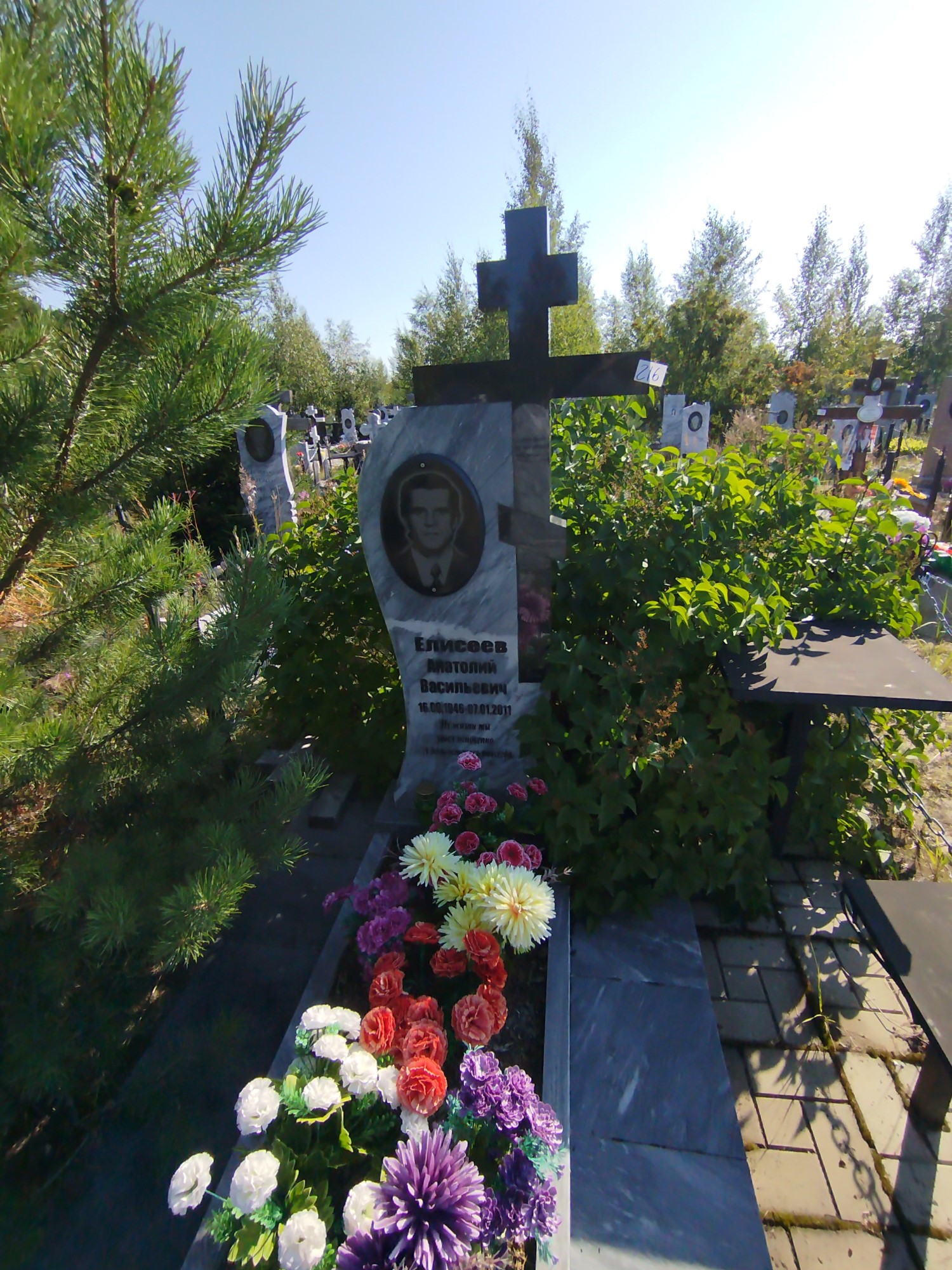Елисеев Анатолий Васильевич