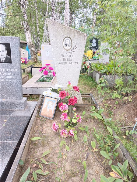 Яковлева Александра Александровна