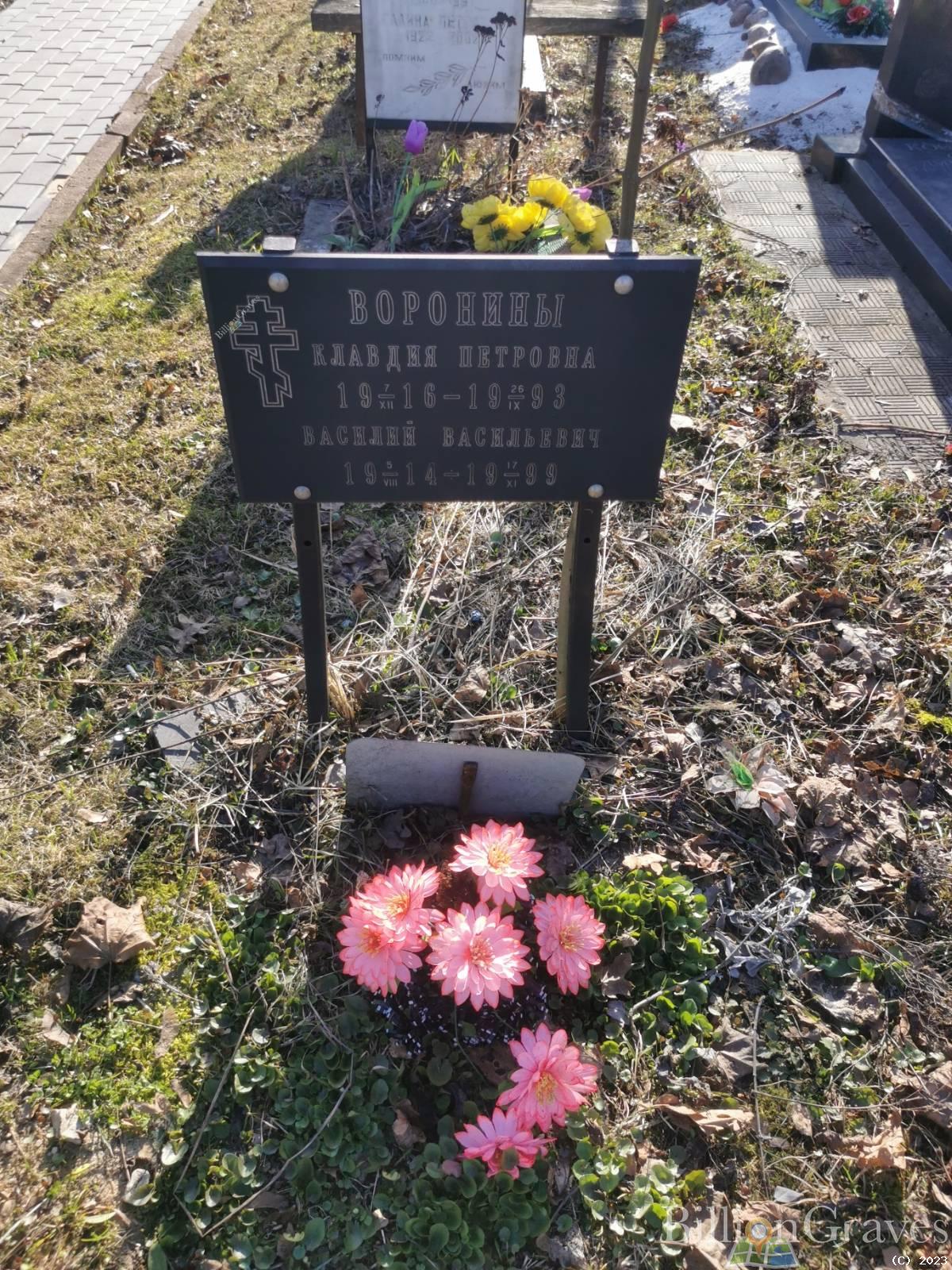 Воронин Василий Васильевич