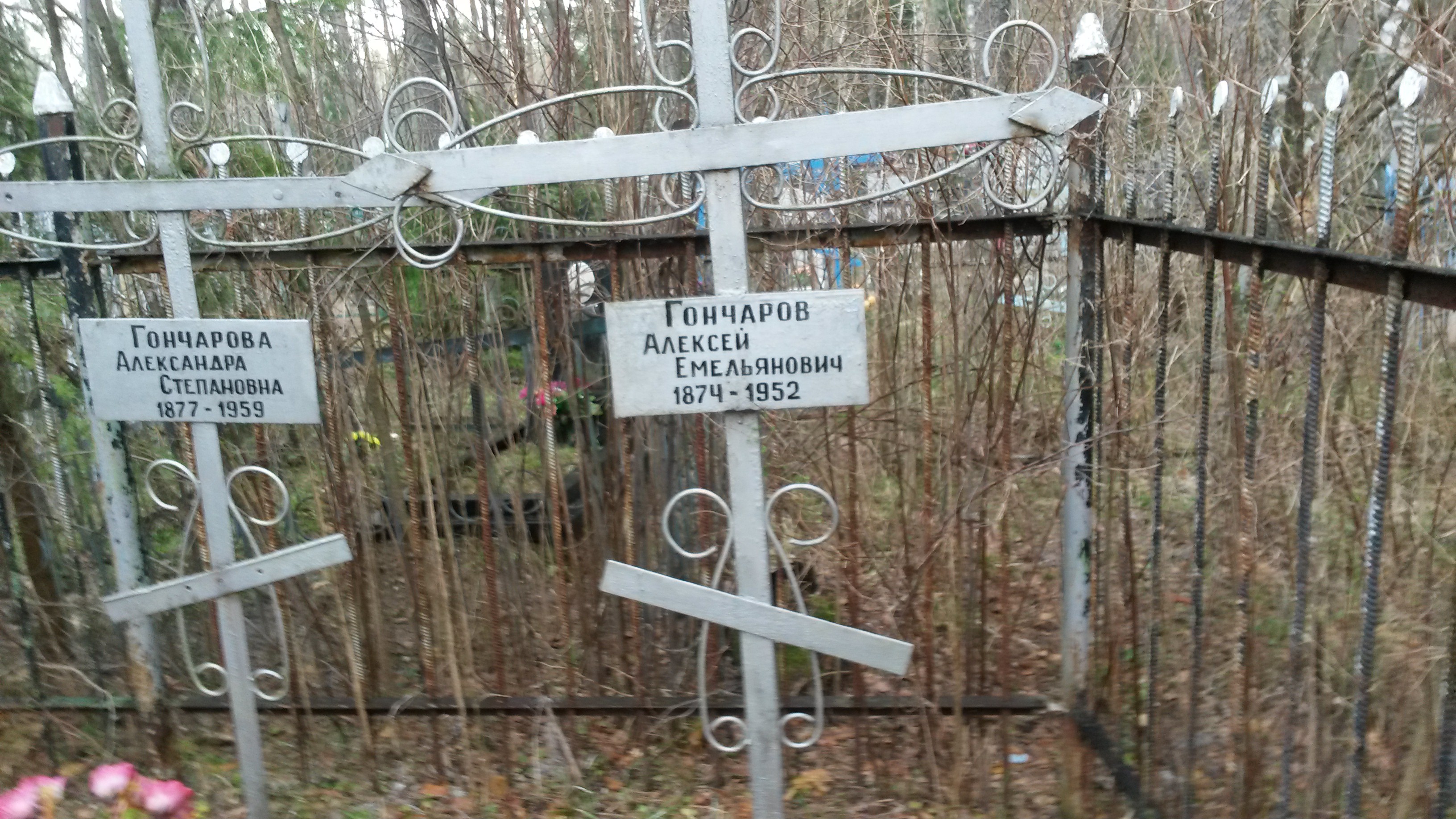 Барсукова Евгения Степановна