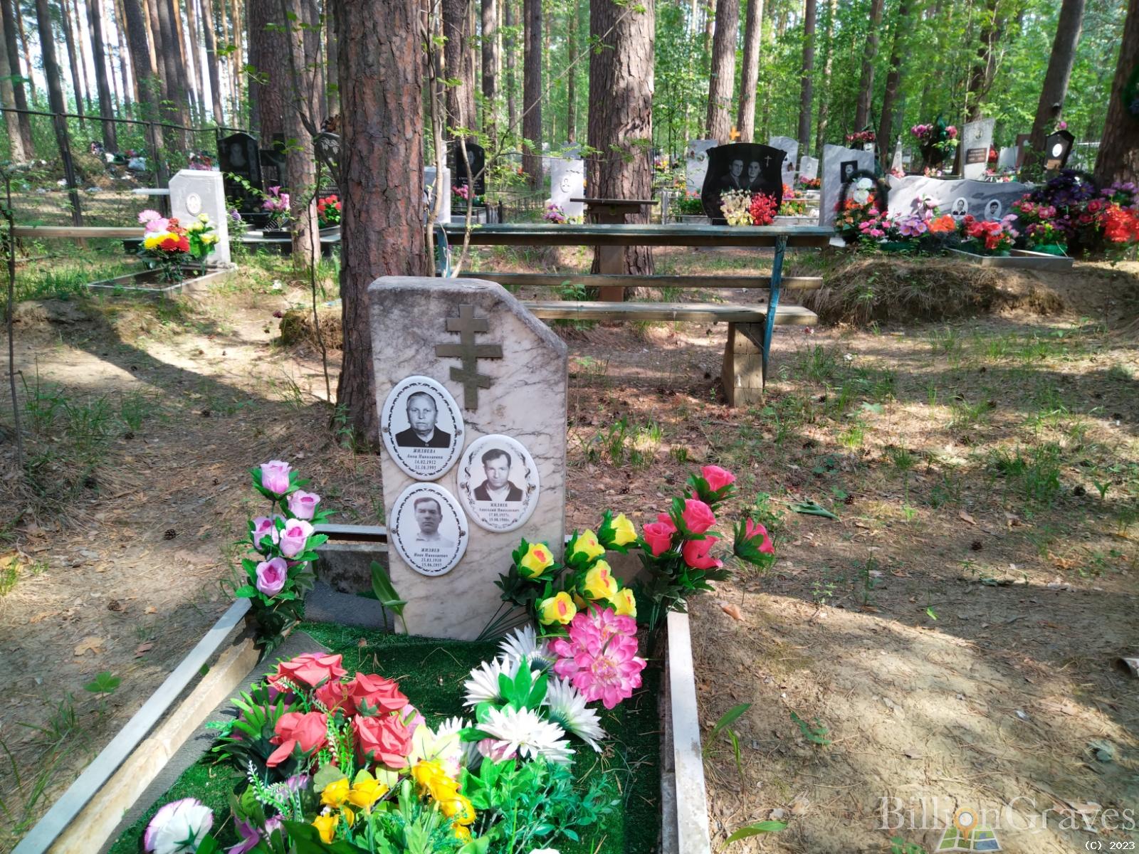 Жиляева Анна Николаевна