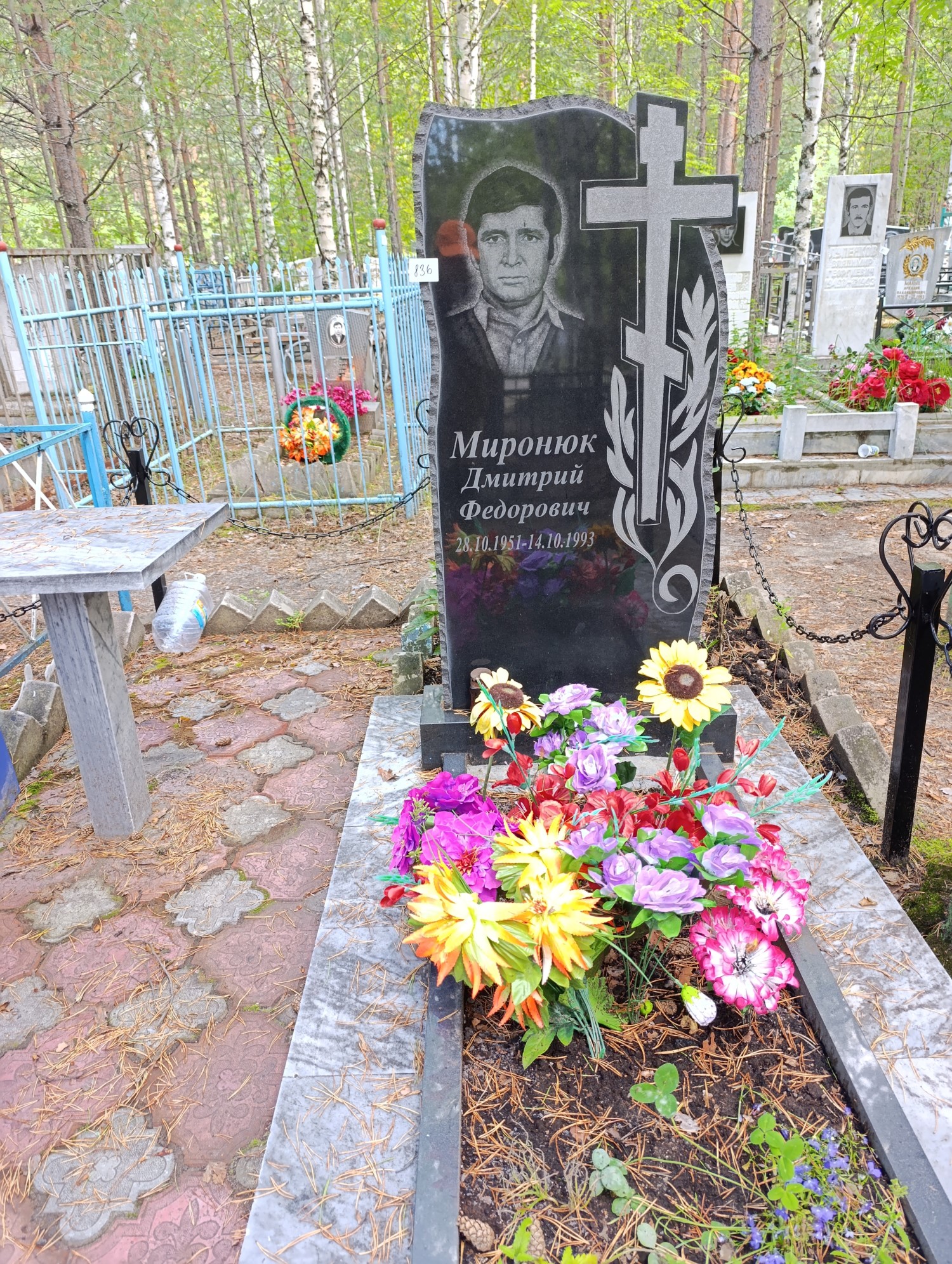 Миронюк Дмитрий Федорович