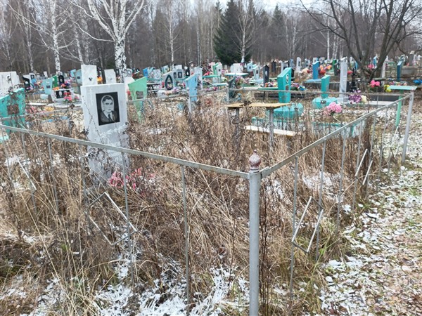 Чехомов Николай Семенович