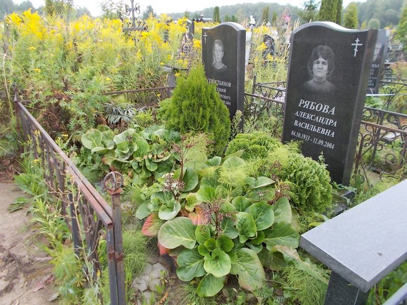 Рябова Александра Васильевна