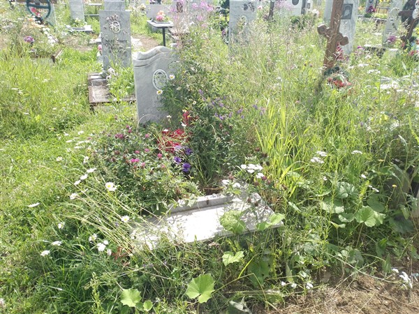 Козлов Сергей Вячеславович