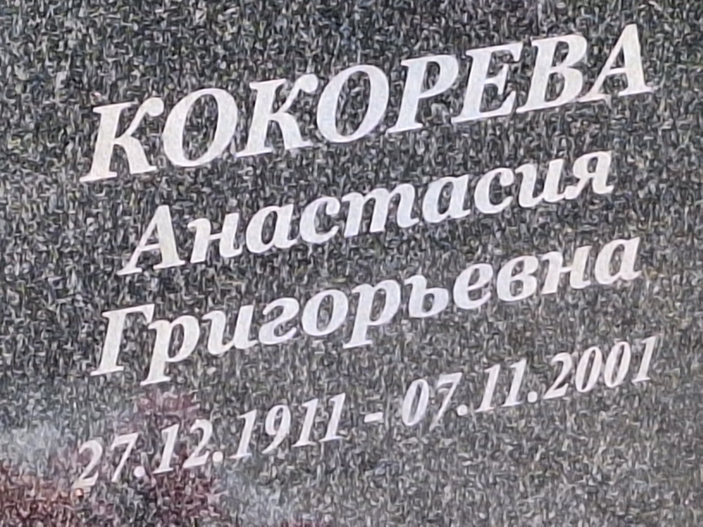 Кокорева Анастасия Григорьевна