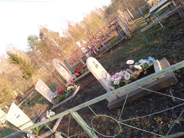 Гулямова Анжелика Владимировна