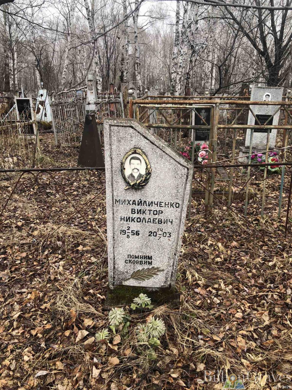 Михайличенко Виктор Николаевич