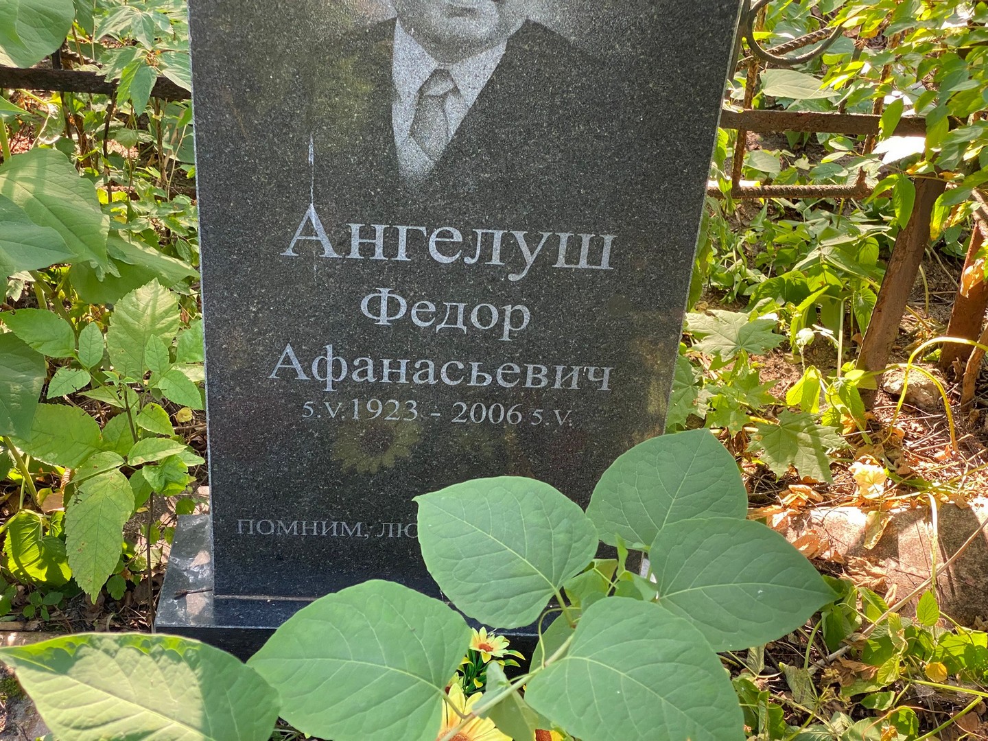 Ангелуш