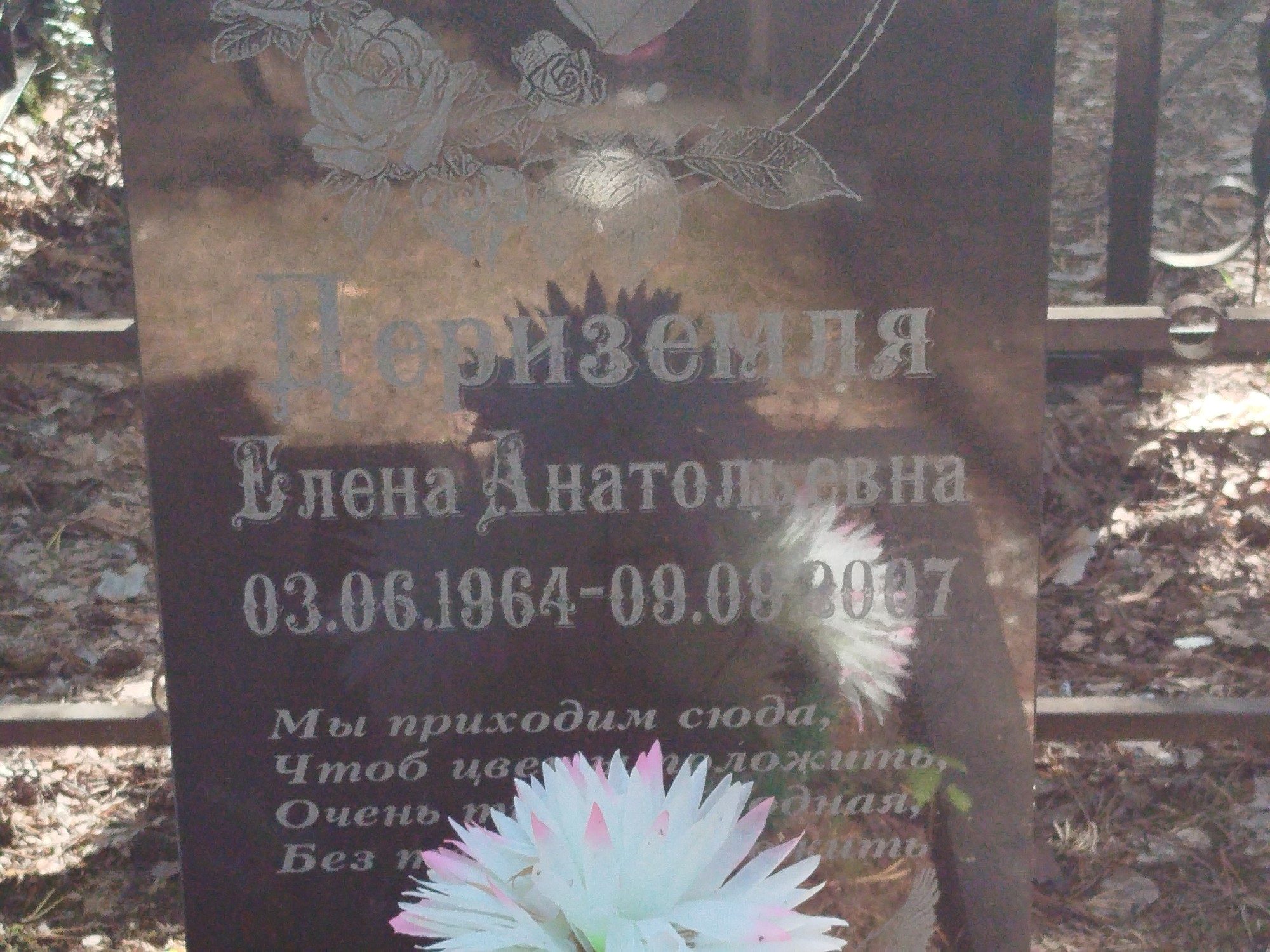 Дориземля Елена Анатольевна