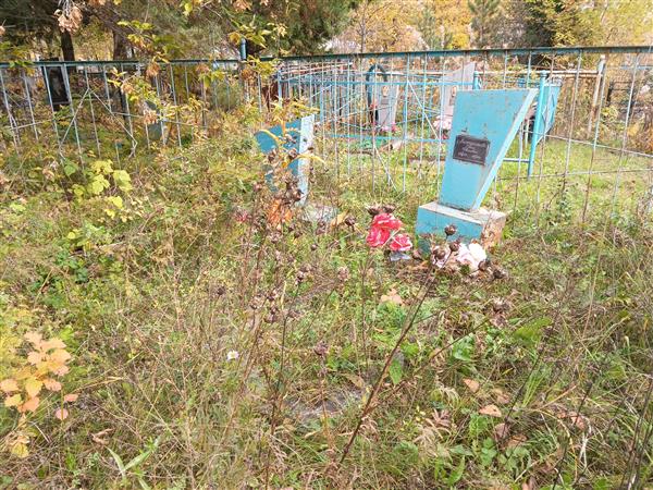 Вассарионов Николай Алексеевич