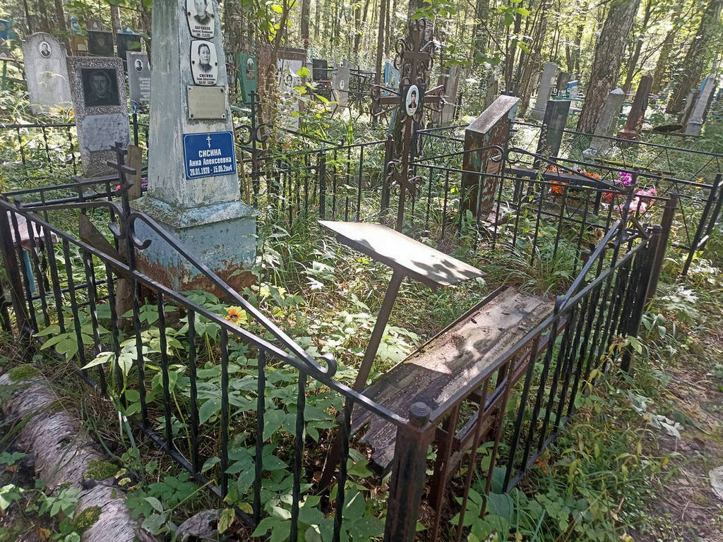 Сисина Анна Алексеевна
