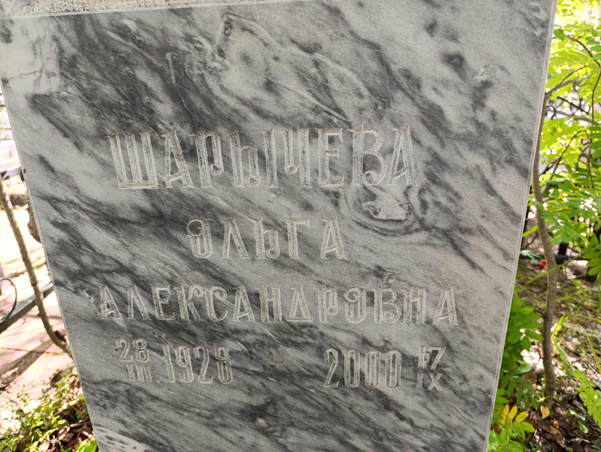 Шарычева Ольга Александровна
