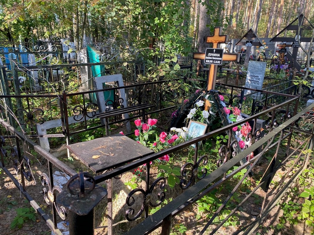 Лунина Альбина Николаевна