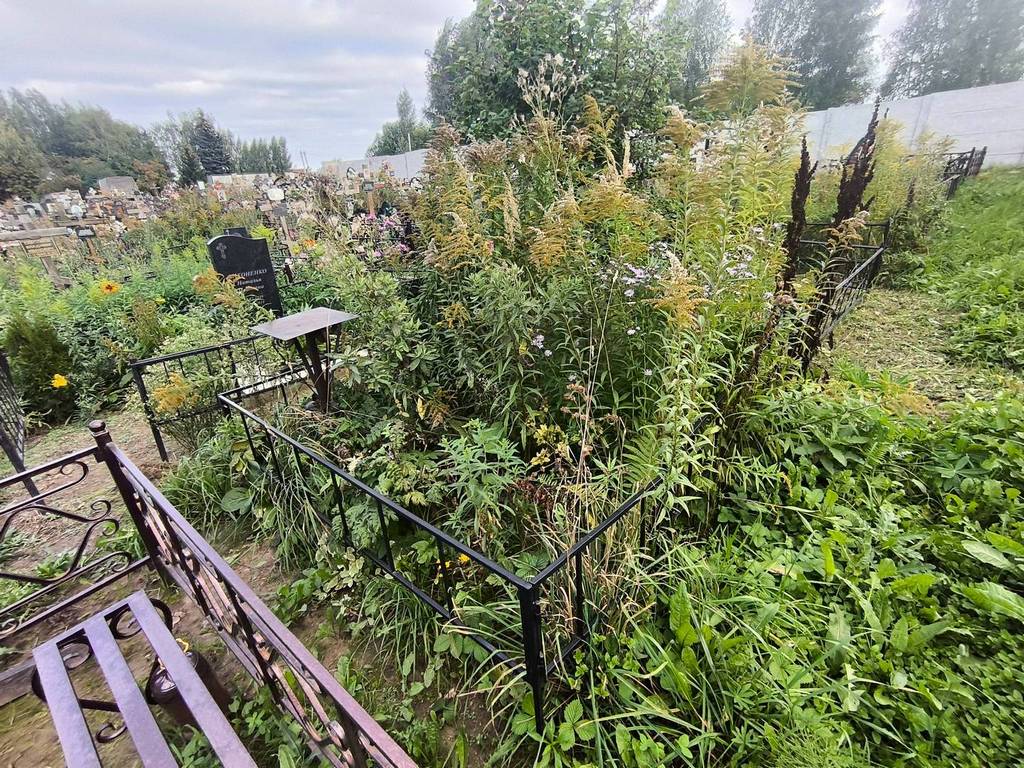 Киреева Людмила Михайловна