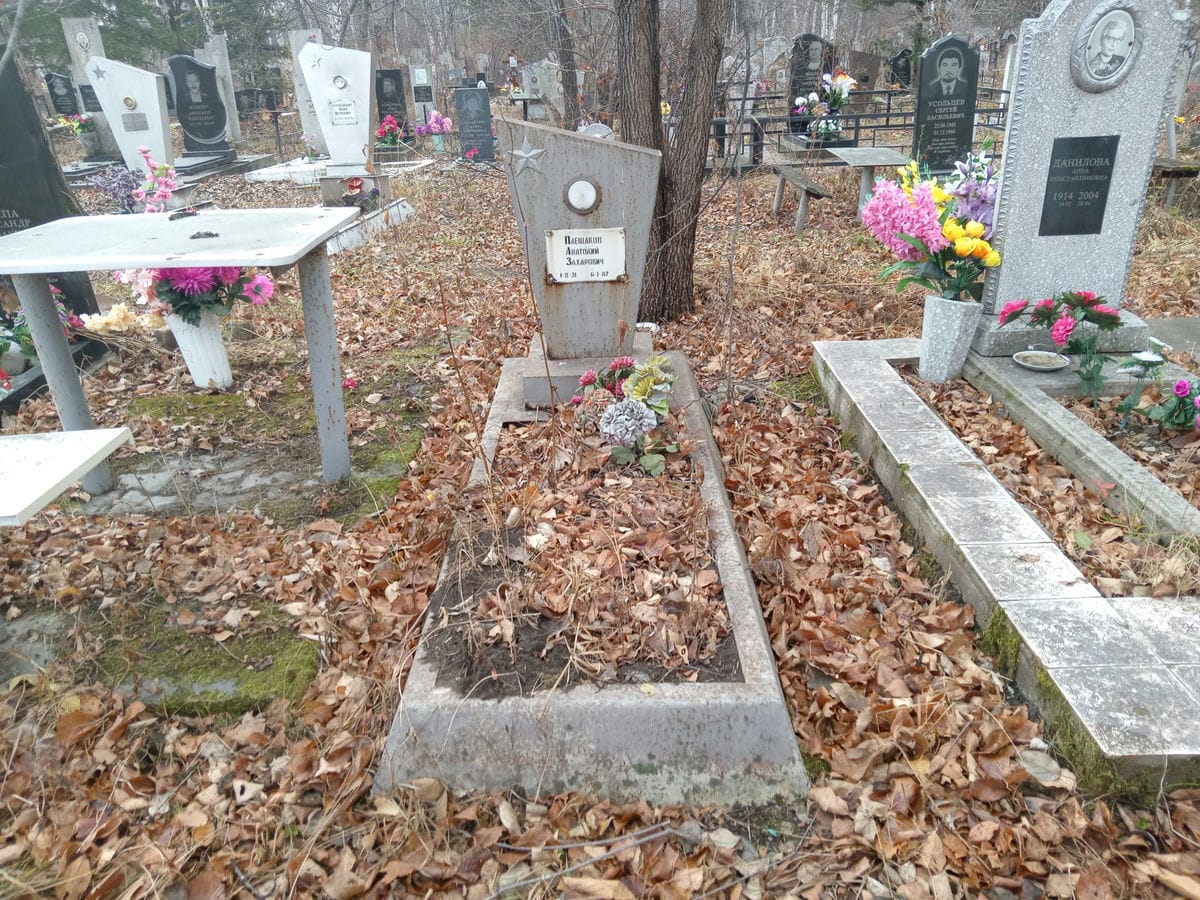 Плешаков Анатолий Захарович