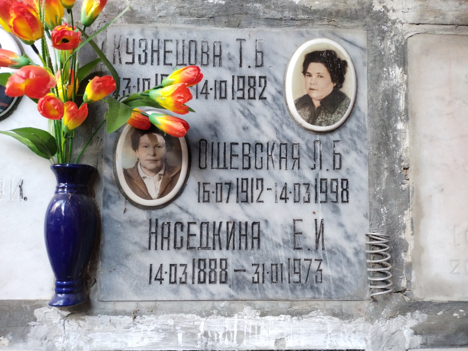 Наседкина Е. И.