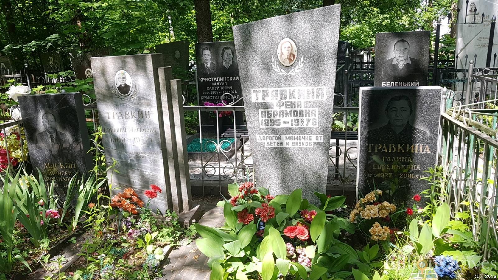 Травкина Галина Евгеньевна