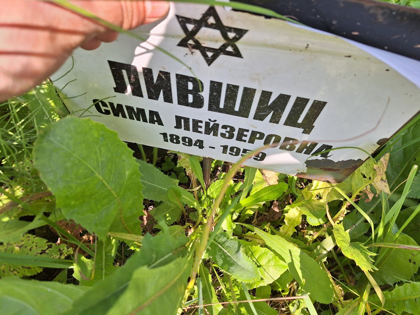 Сима Лившиц Лейзеровна