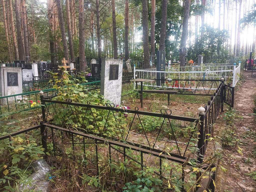 Садков Михаил Николаевич