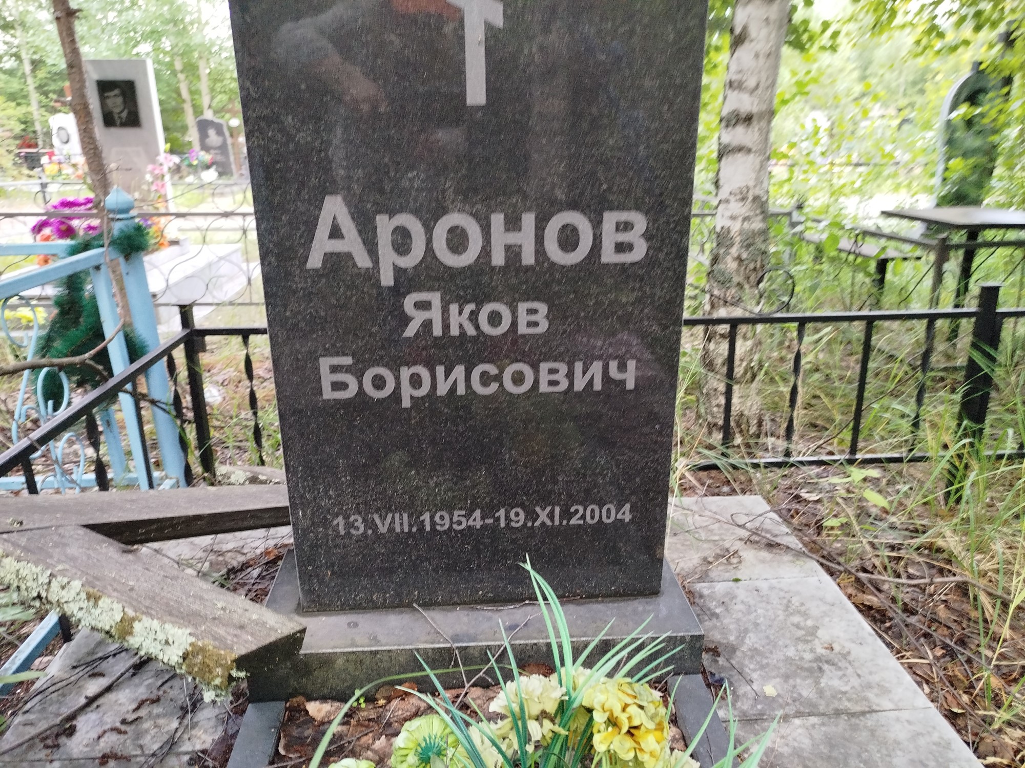 Аронов Яков Борисович