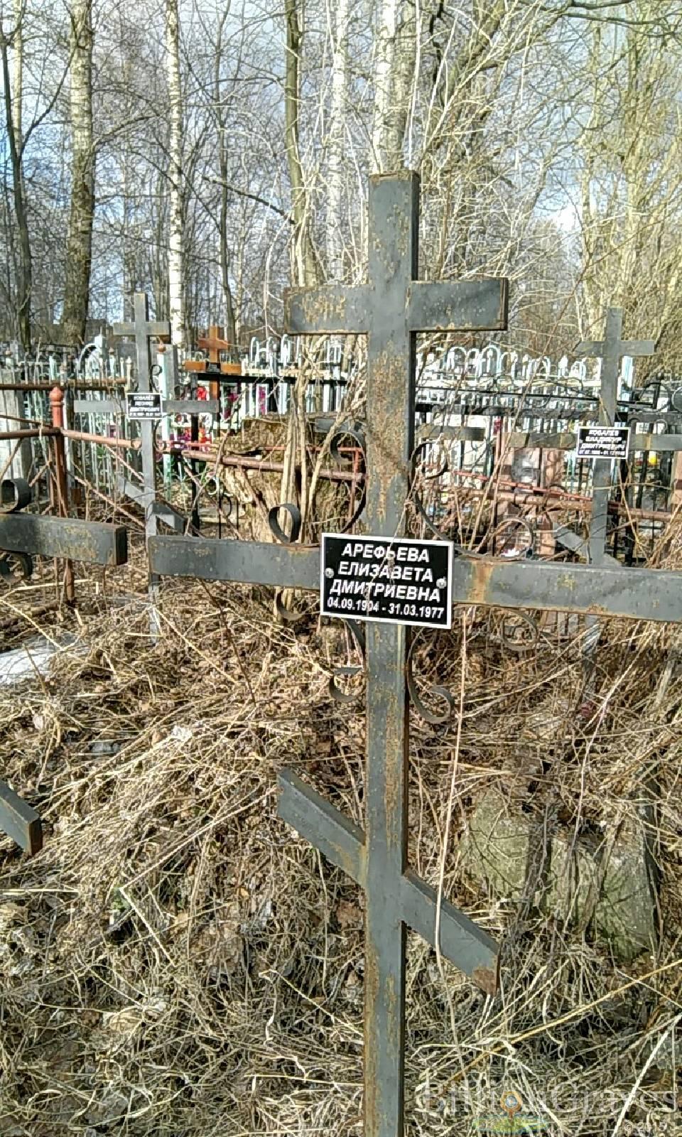 арефьева елизавета дмитриевна