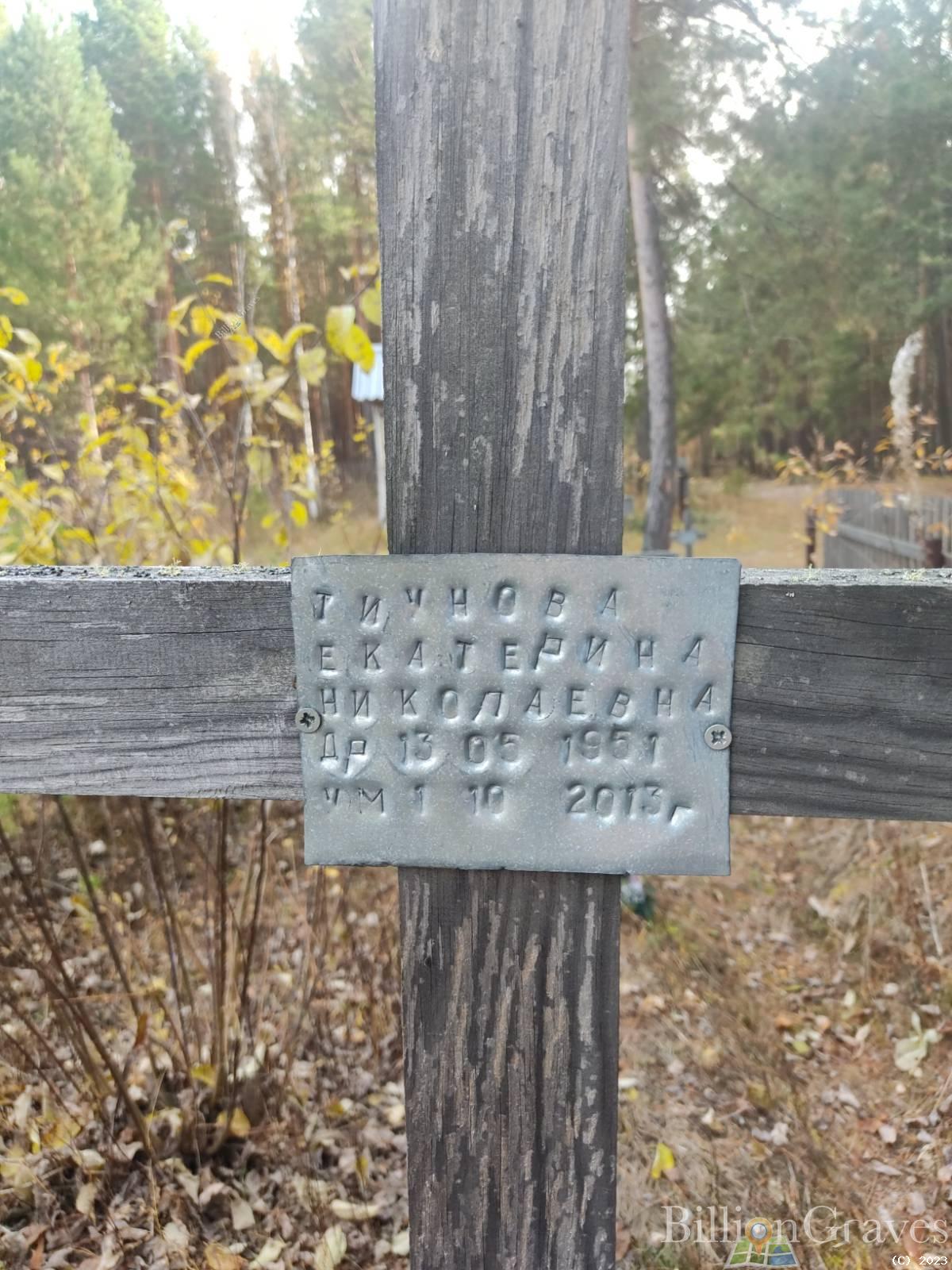 Тиунова Екатерина Николаевна