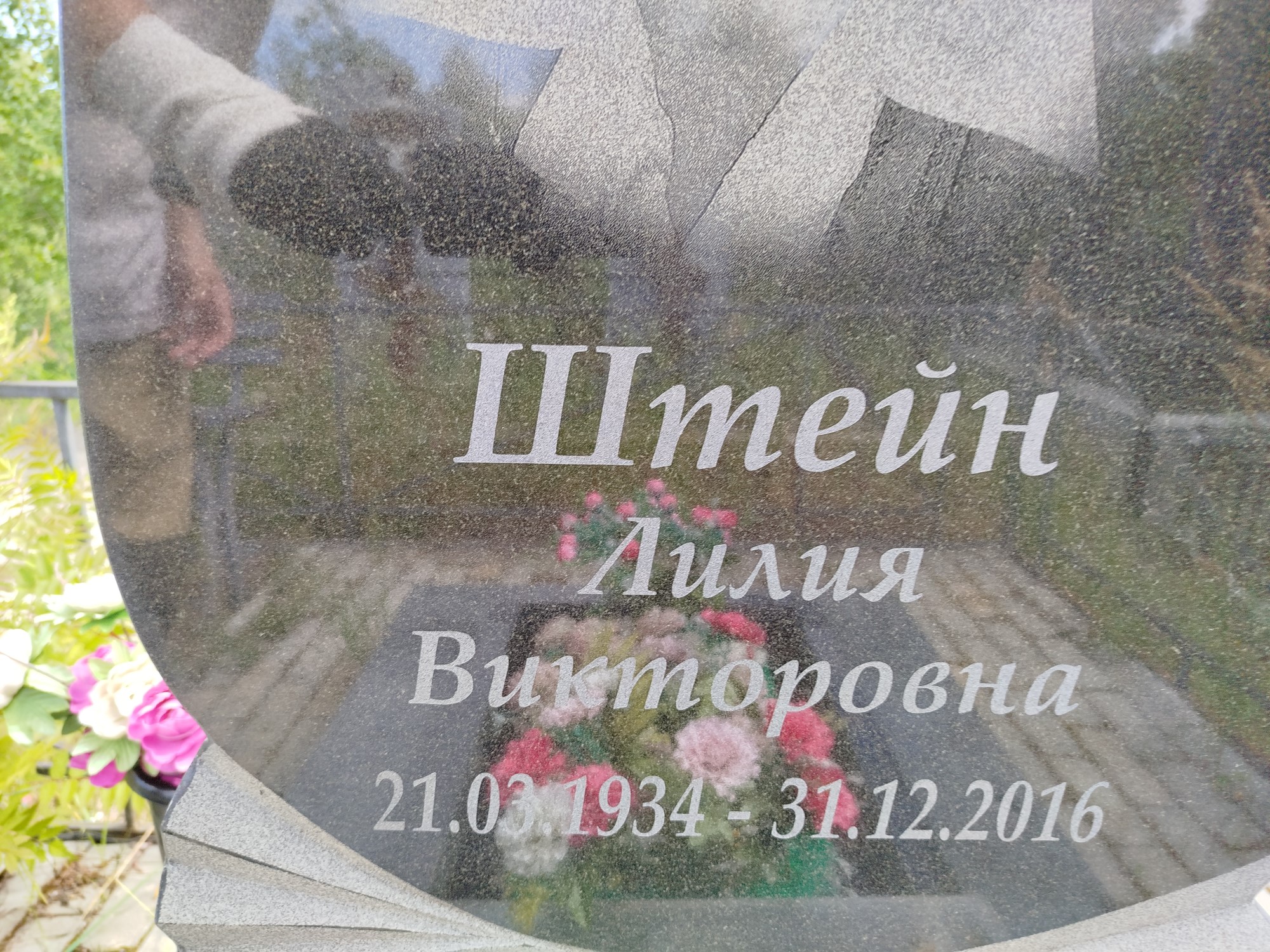Штейн Лидия Викторовна