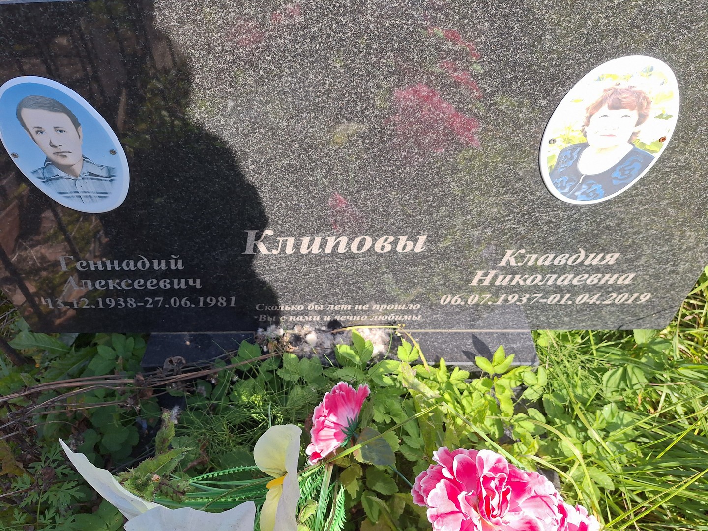 Клипова