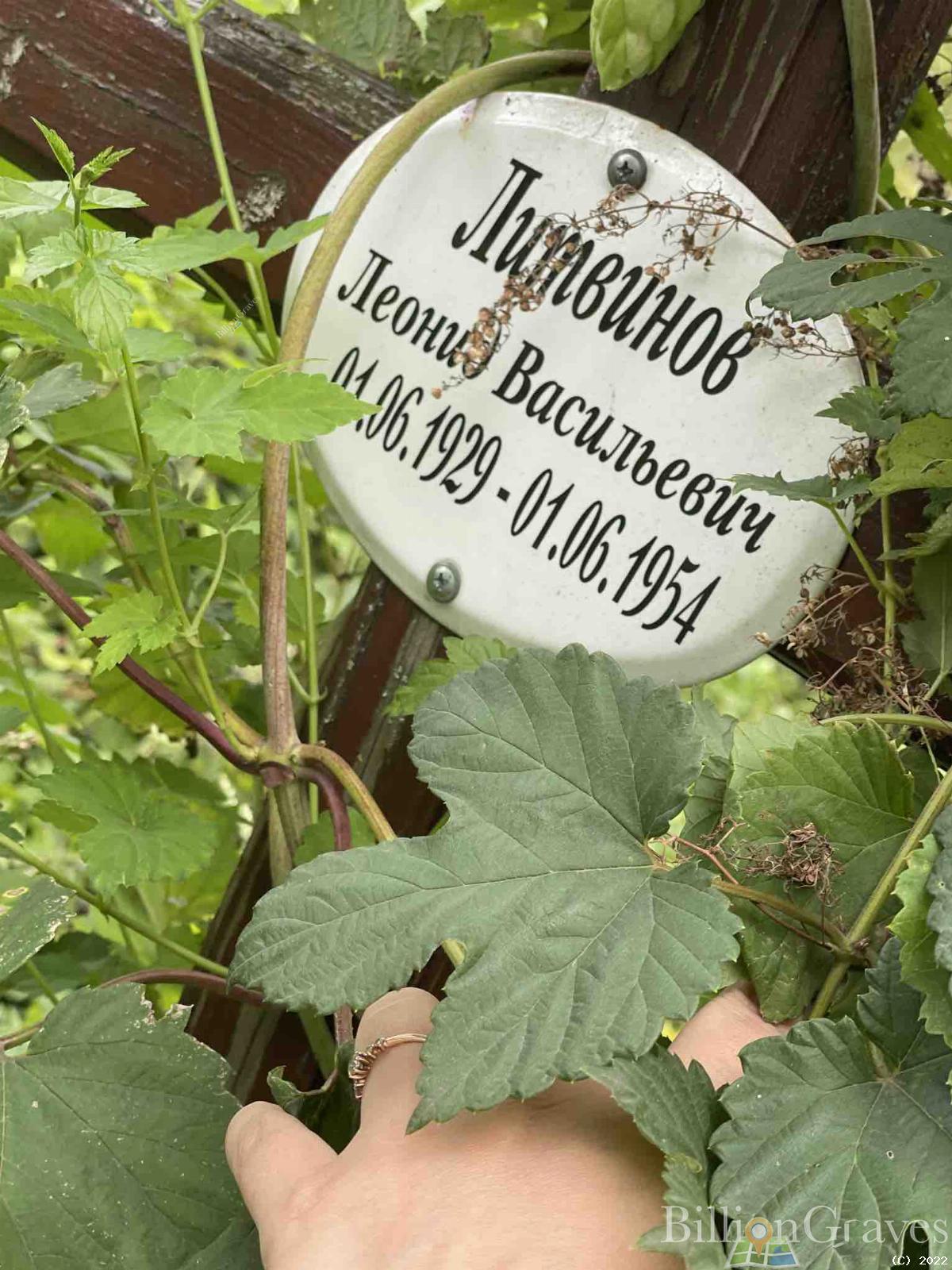 Литвинов Леонид Васильевич