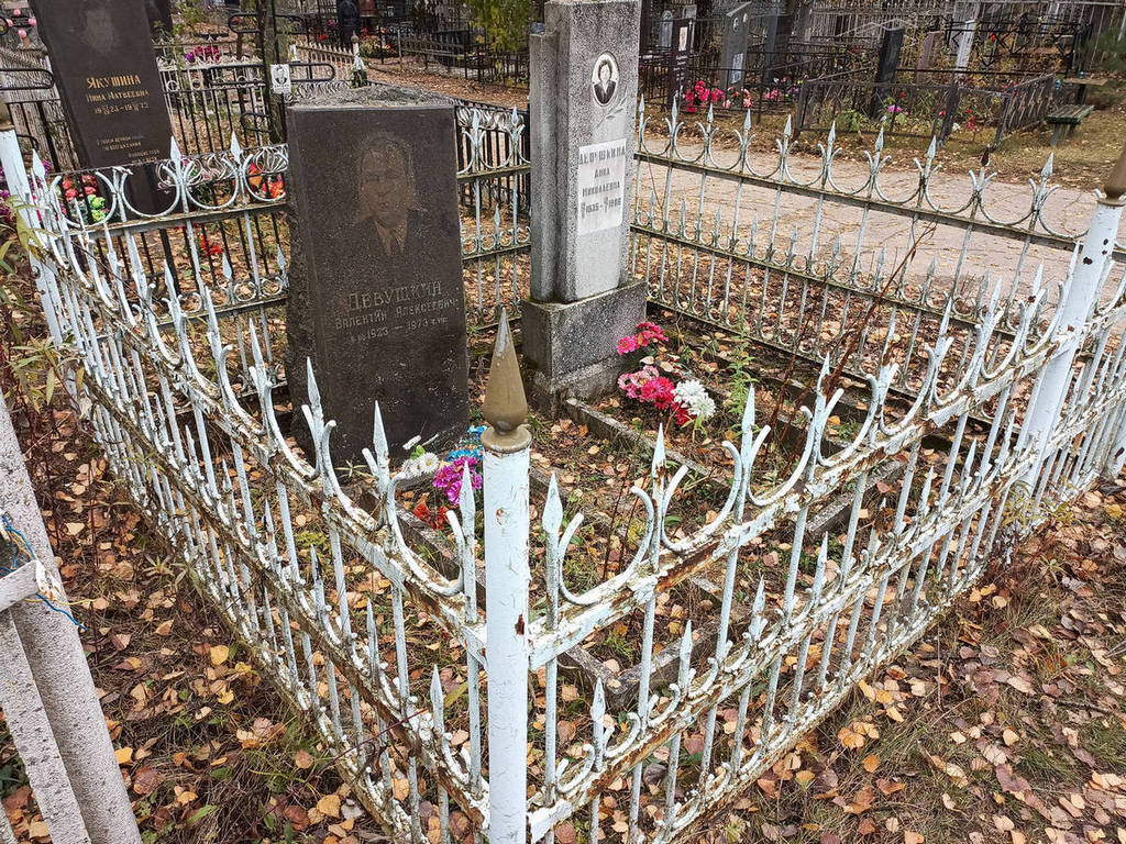 Девушкин Валентин Алексеевич