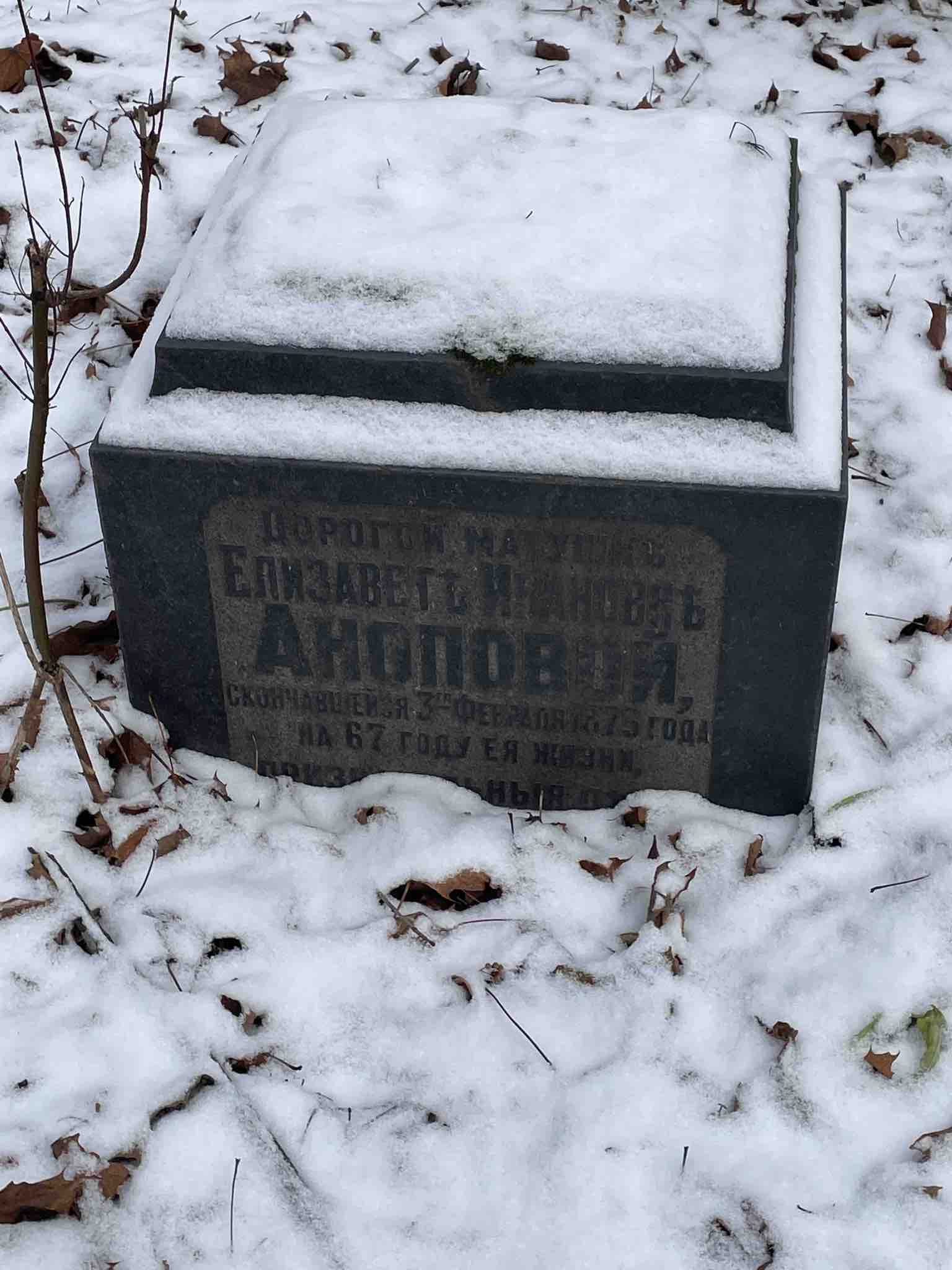 Анопова Елизавета Ивановна