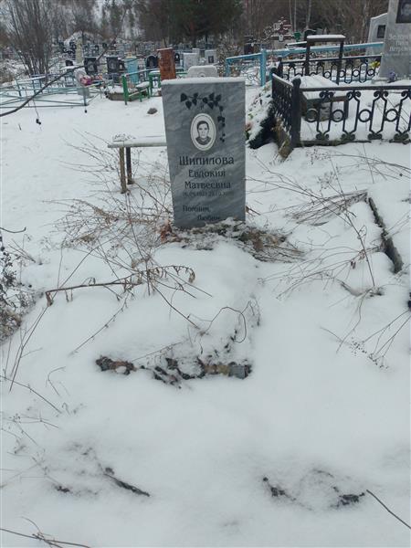 Шипилова Евдокия Матвеевна