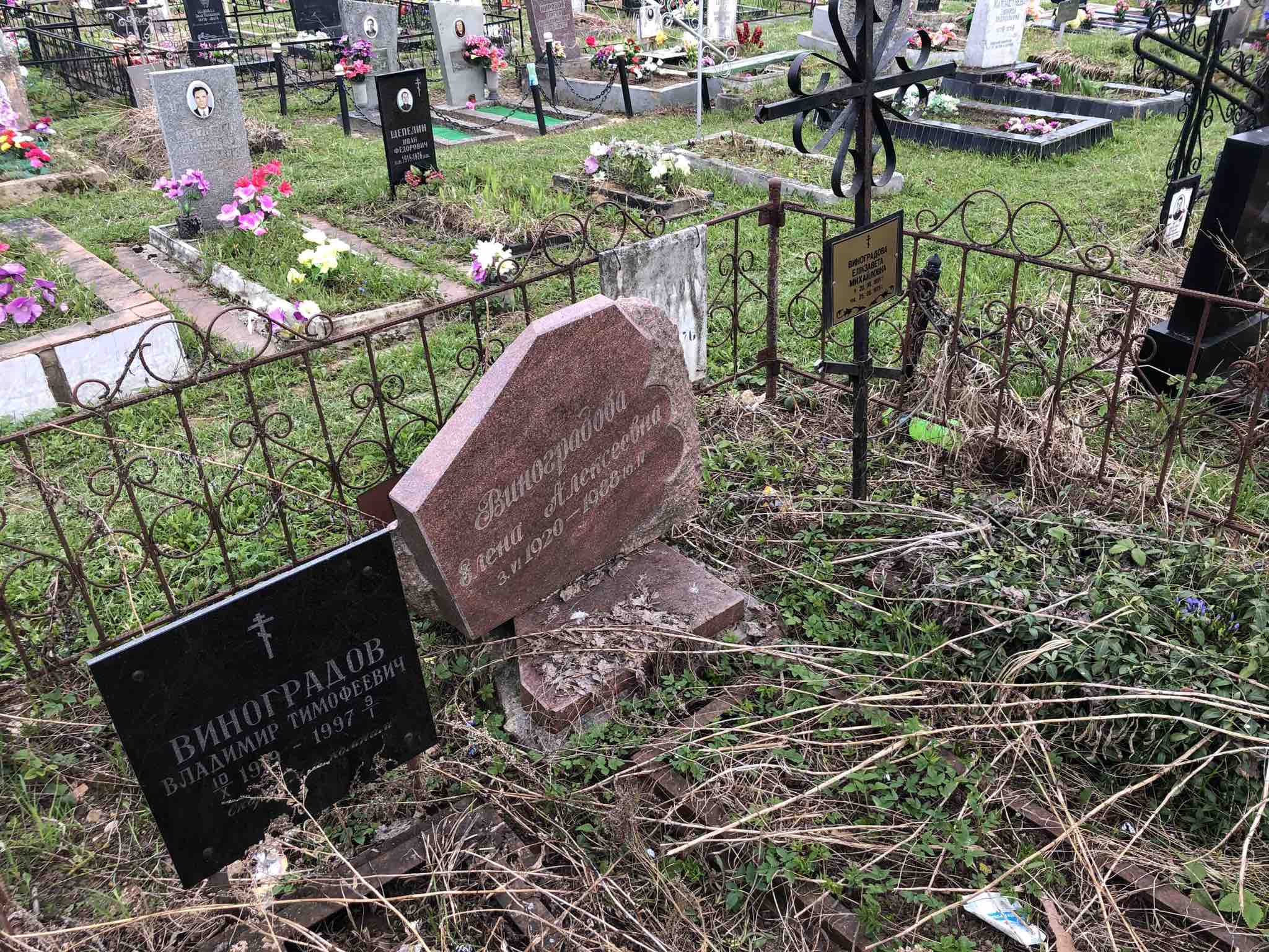Виноградова Елена Алексеевна