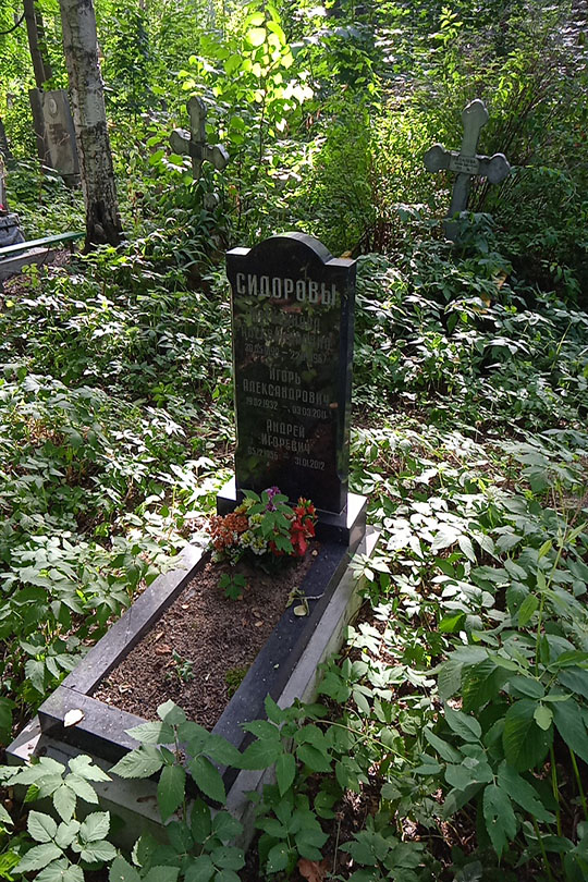 Сидоров Игорь Александрович
